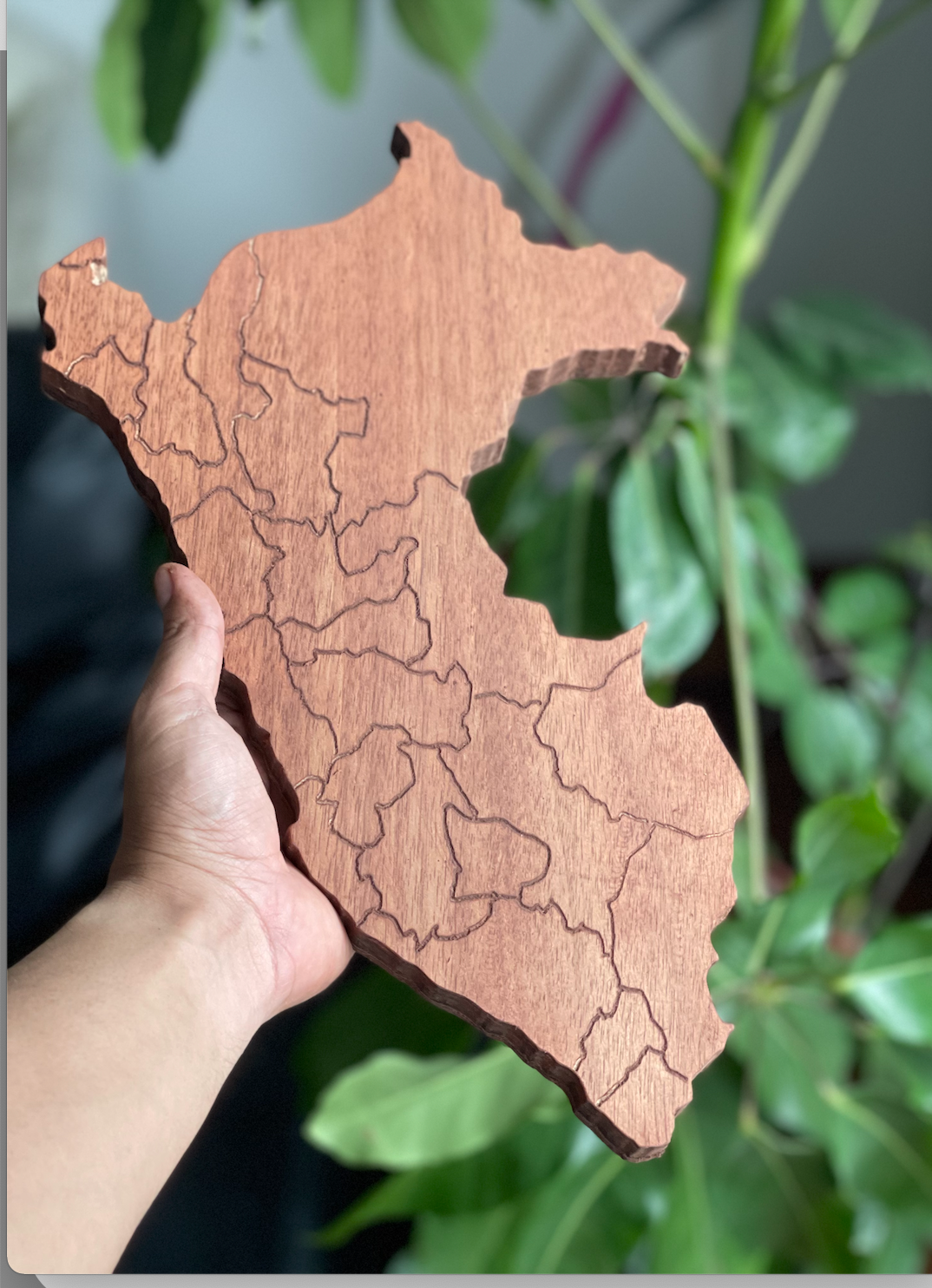 Mapa del Perú